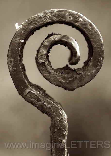 Wall_Art_Alphabet_Photography_Art_ 33.jpg